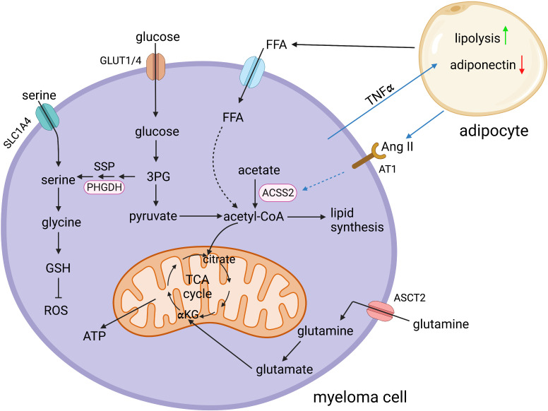 Figure 1