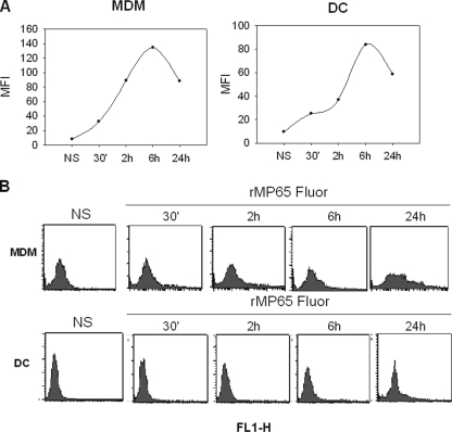 FIG. 2.