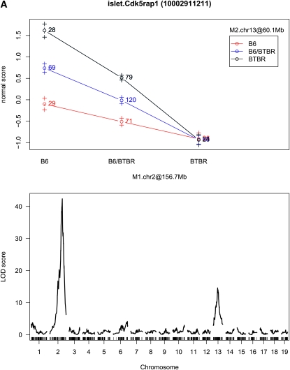 Figure 3.—