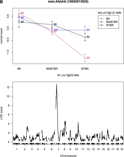 Figure 3.—