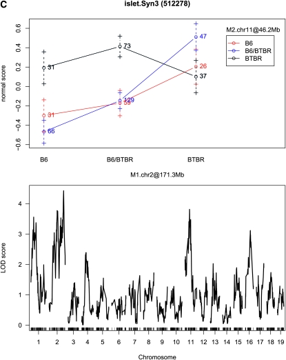 Figure 3.—