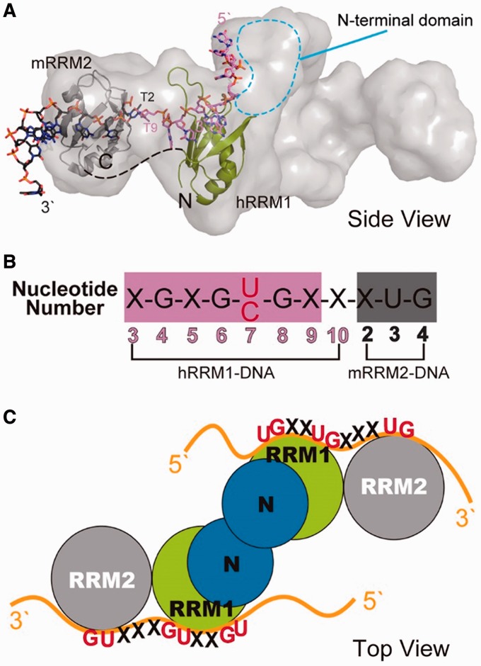 Figure 6.