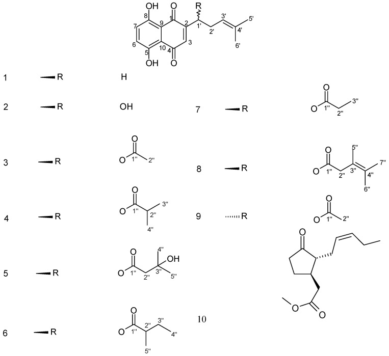 Figure 1