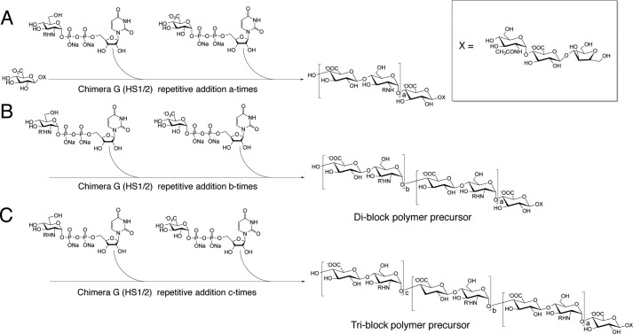 FIGURE 1.