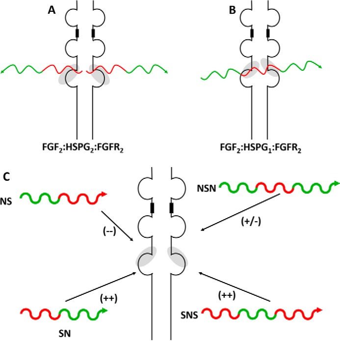 FIGURE 2.