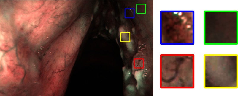 Fig. 3