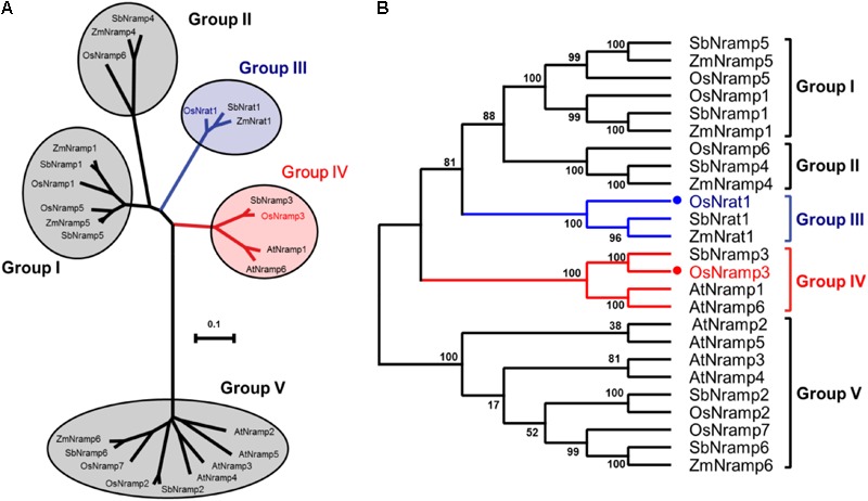 FIGURE 1