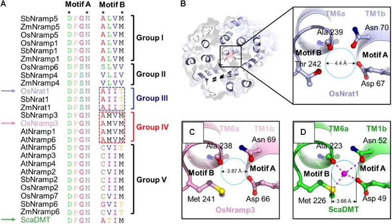 FIGURE 3