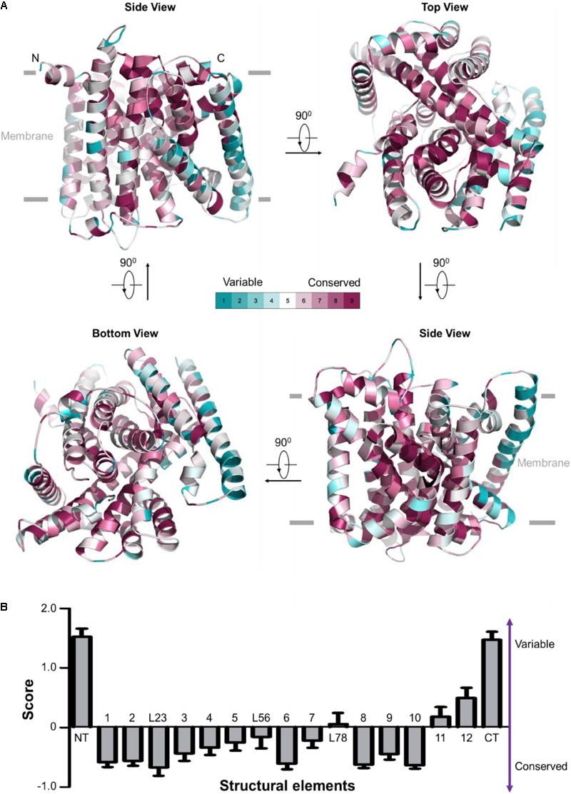 FIGURE 2