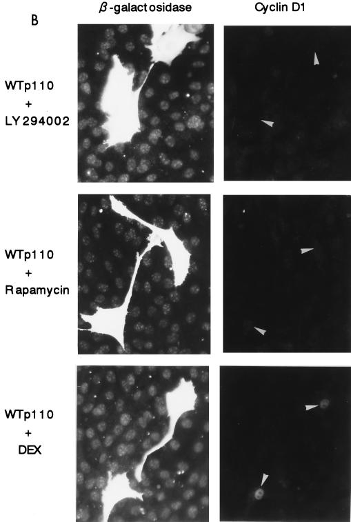 FIG. 10