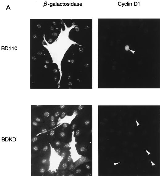 FIG. 11