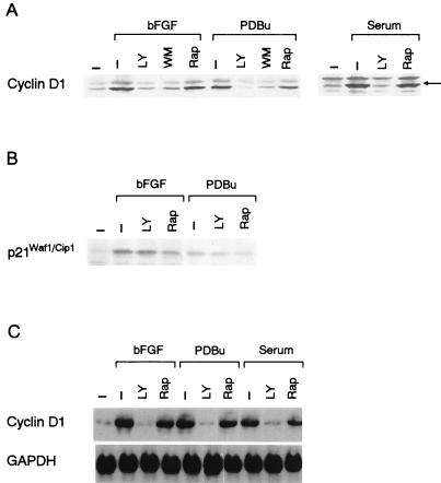 FIG. 5