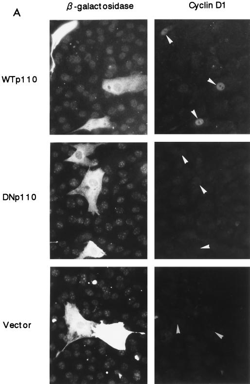 FIG. 10