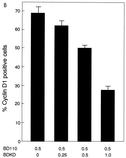 FIG. 11