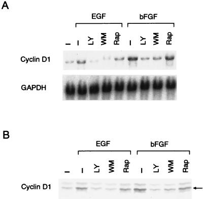 FIG. 8