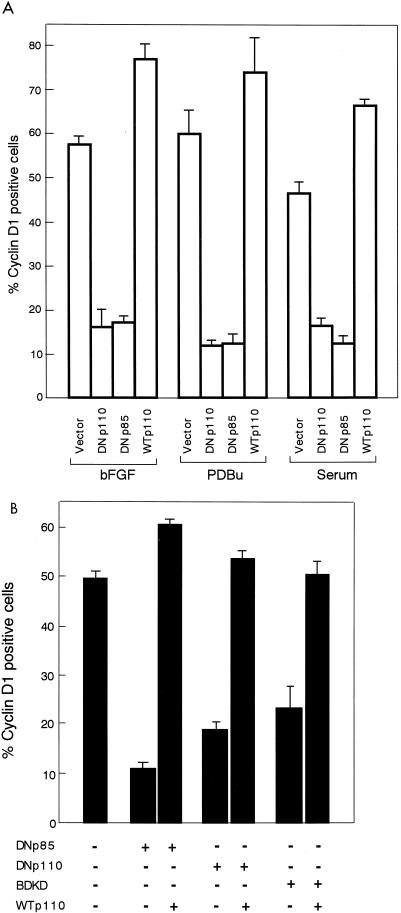 FIG. 7