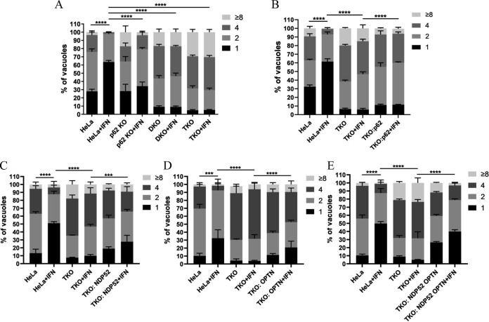 FIG 6