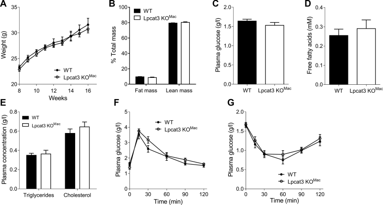 Fig. 4