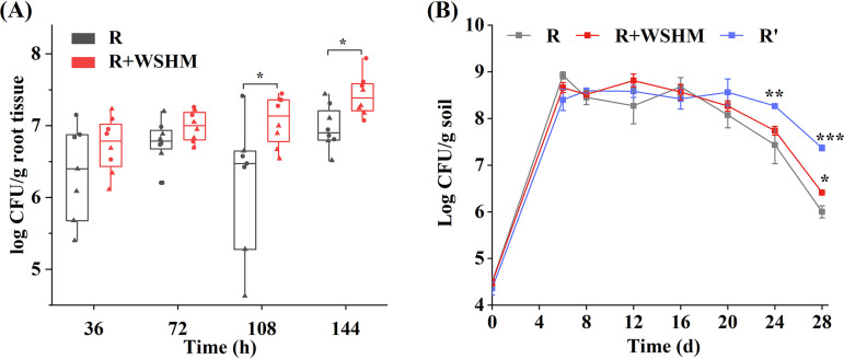 FIG 6