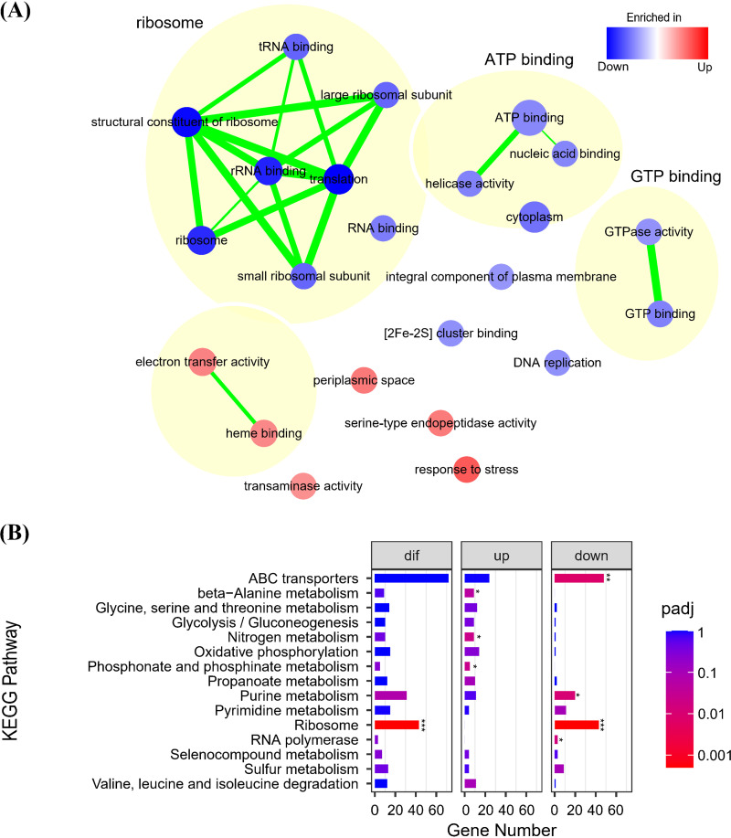 FIG 3