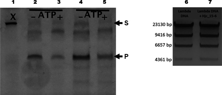 Figure 6