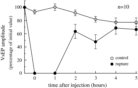 Fig. 4