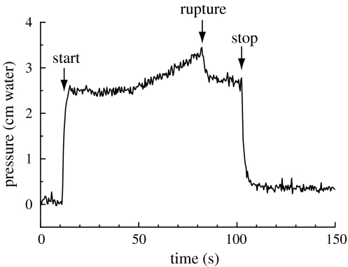 Fig. 3