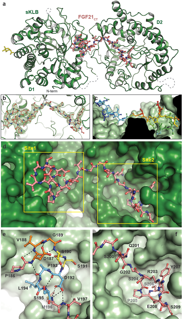 Figure 2 |