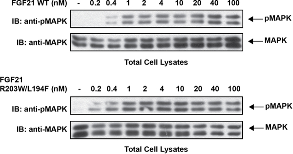 Extended Data Figure 8 |