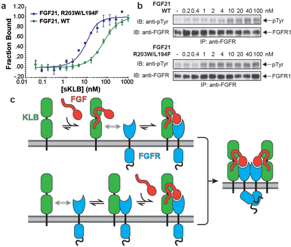 Figure 4 |