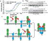 Figure 4 |