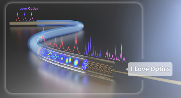 graphic file with name 41377_2024_1726_Figa_HTML.jpg