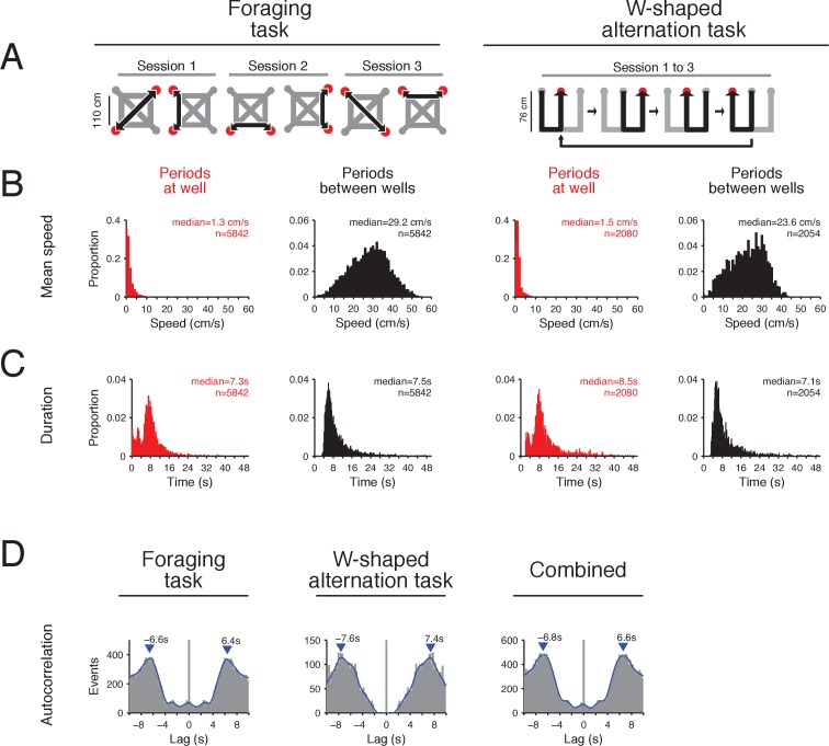 Figure 1—figure supplement 1.