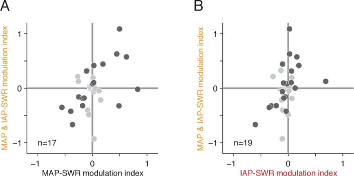 Figure 5—figure supplement 2.