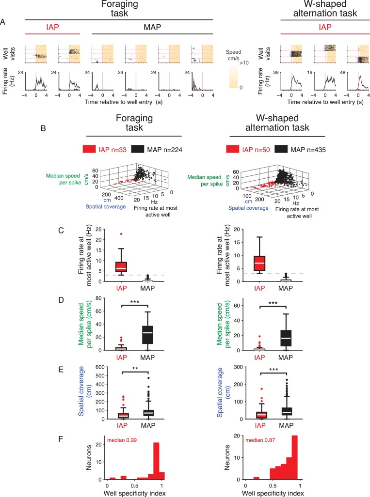 Figure 1—figure supplement 4.