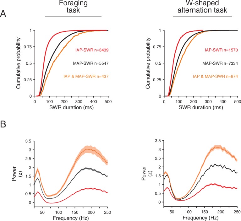 Figure 4—figure supplement 4.