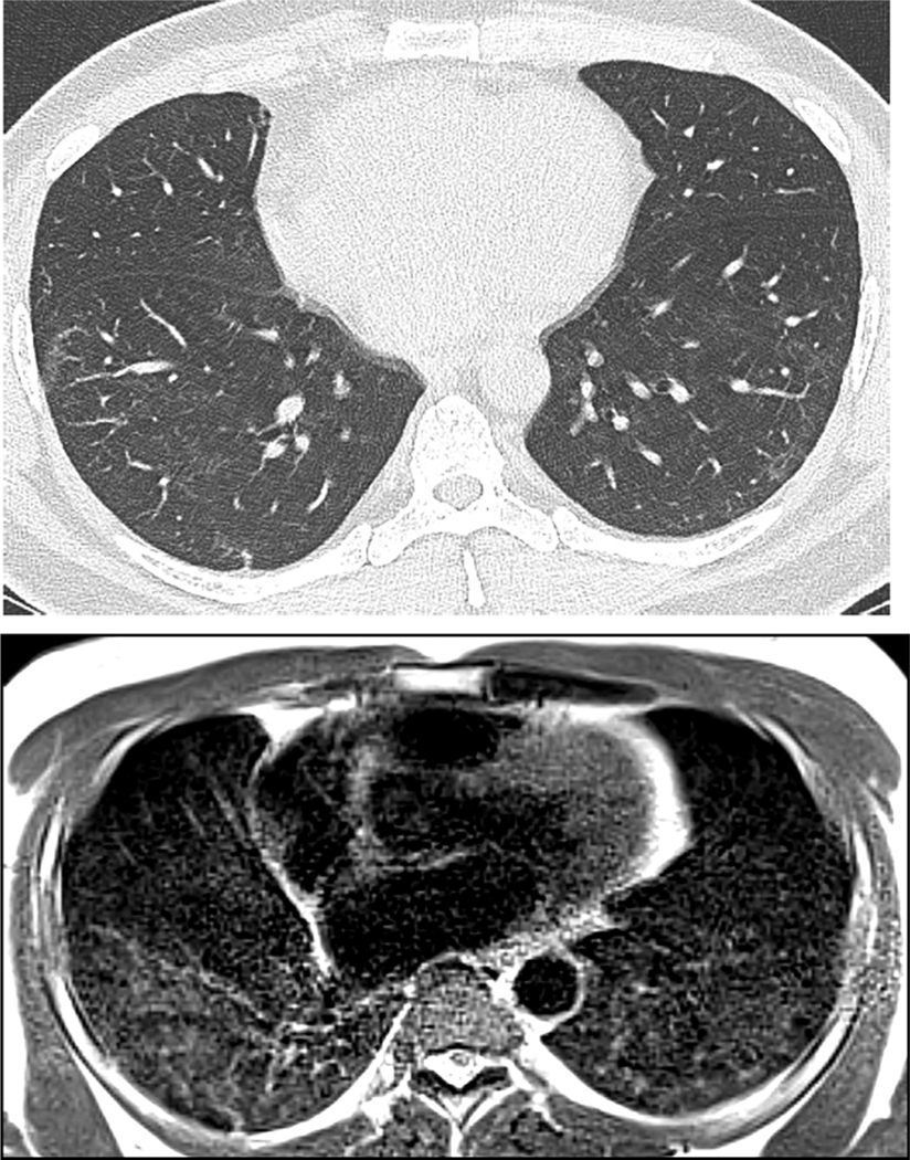 Fig. 5.