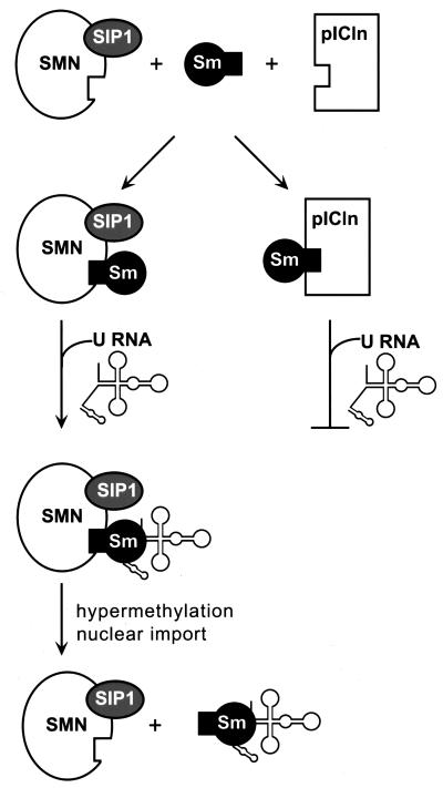 FIG. 8