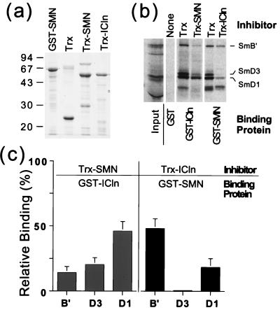 FIG. 7