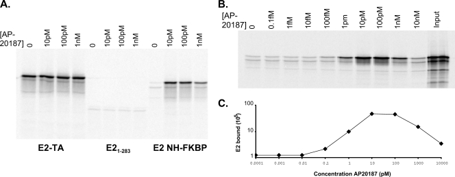 FIG. 5.