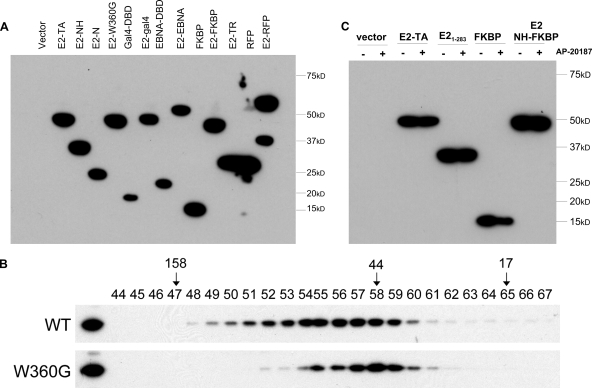 FIG. 6.