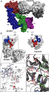 Fig. 2.