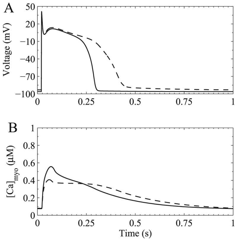 Fig. 8