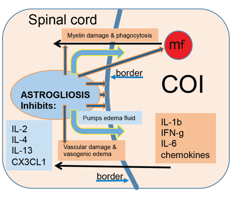 Fig. (1)