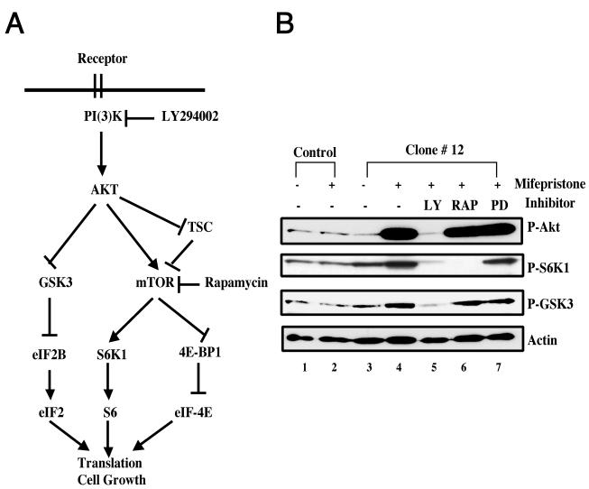 FIG. 5.