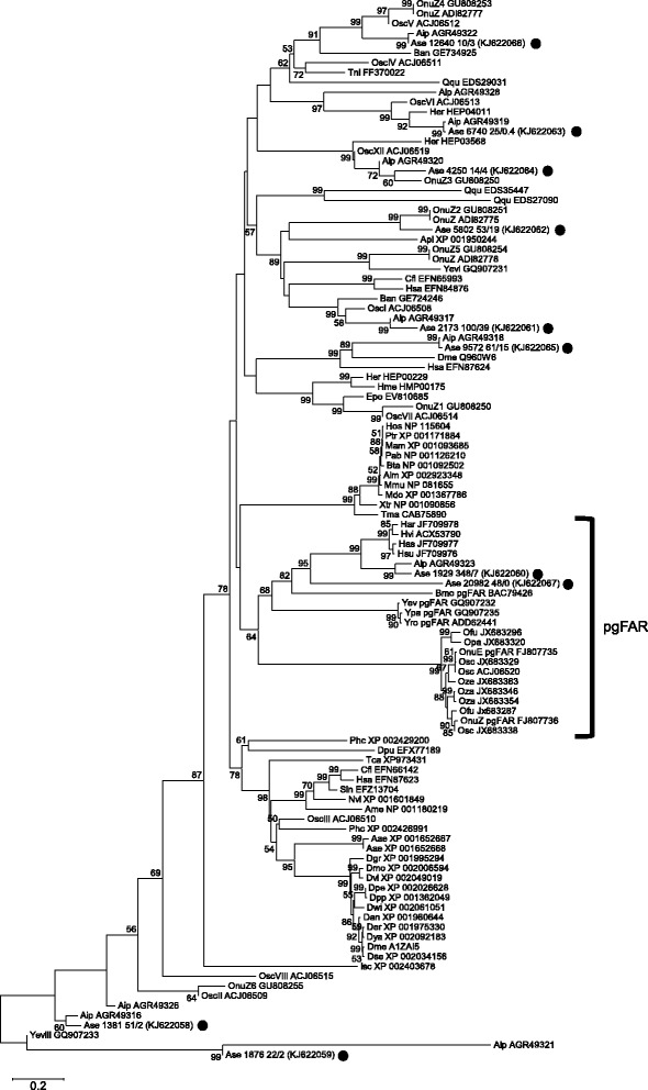 Fig. 8