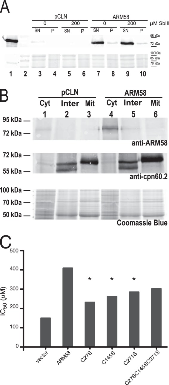 FIG 1