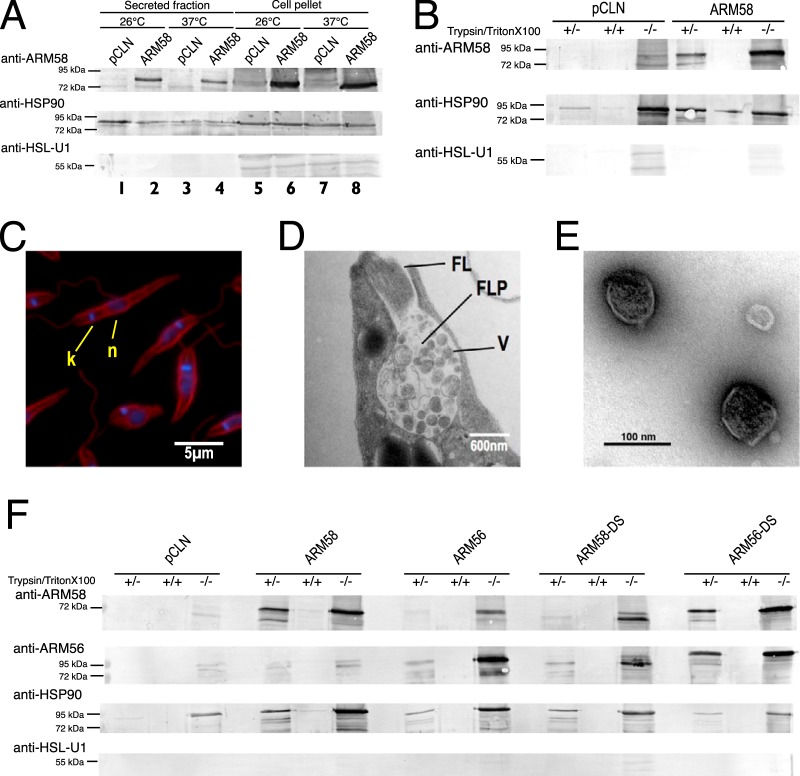 FIG 4