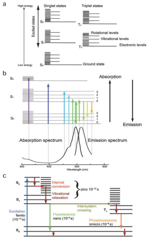 Fig. 3