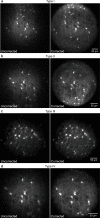 Figure 3—figure supplement 5.